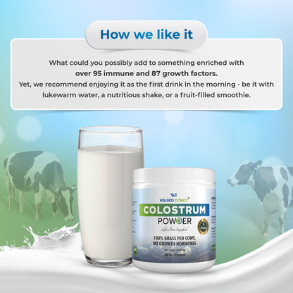 Colostrum bovin en poudre 150 g| Supplément de lactoferrine protéique | Sans hormones | Vrai 6 heures extraites